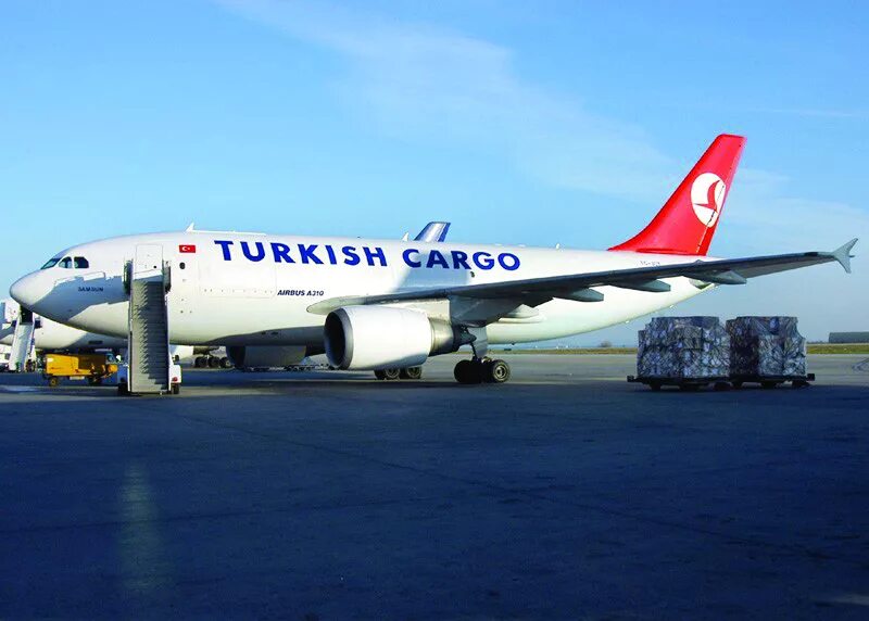 A310 Cargo. Туркиш Эйрлайнс карго. Turkish Cargo Airlines. Самолет турецкий карго. Airlines tracking