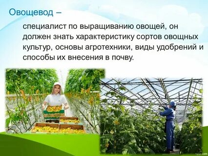 Как называется человек который занимается растениями