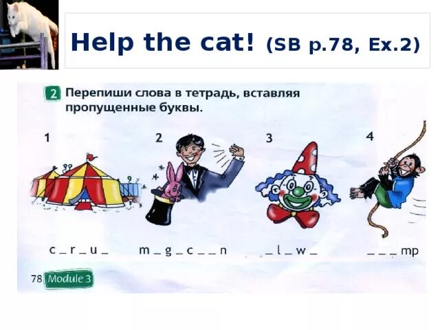 Цирк на английском произношение. Спотлайт 2 класс at the Circus. Задания по теме at the Circus. Цирк английский 2 класс. Английский тема цирк 2 класс.