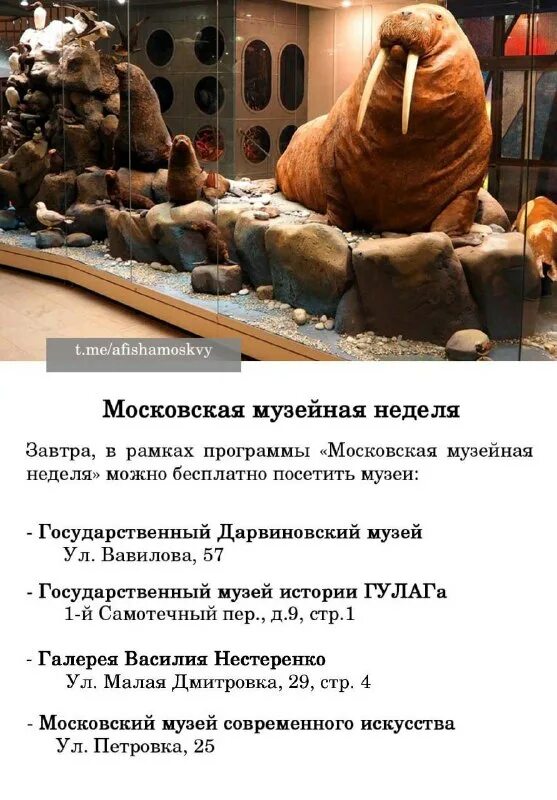 афиша сходить в москве сегодня