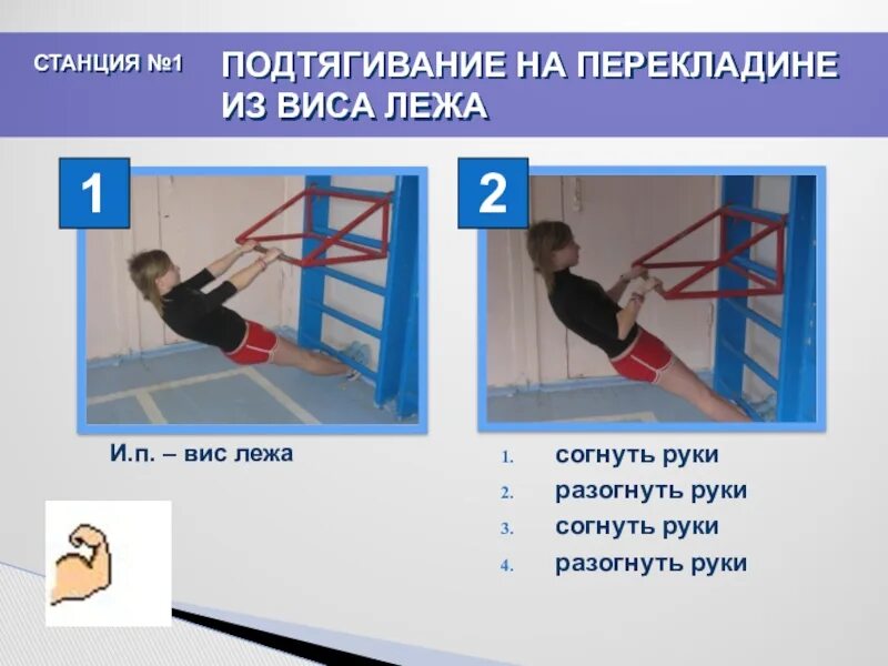 Подтягивание вис лежа. Подтягивание из виса лежа. подтягивание на низкой перекладине. вис лежа. перекладина для подтягивания из виса лежа.