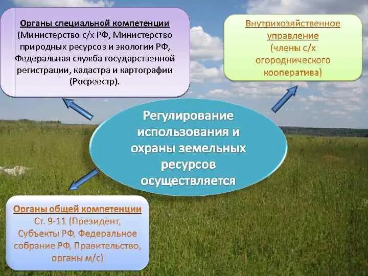 Эффективности управления земельными ресурсами. Государственный земельный надзор схема. Управление земельными ресурсами схема. Структура органов управления земельными ресурсами. Методы и формы управления земельными ресурсами.