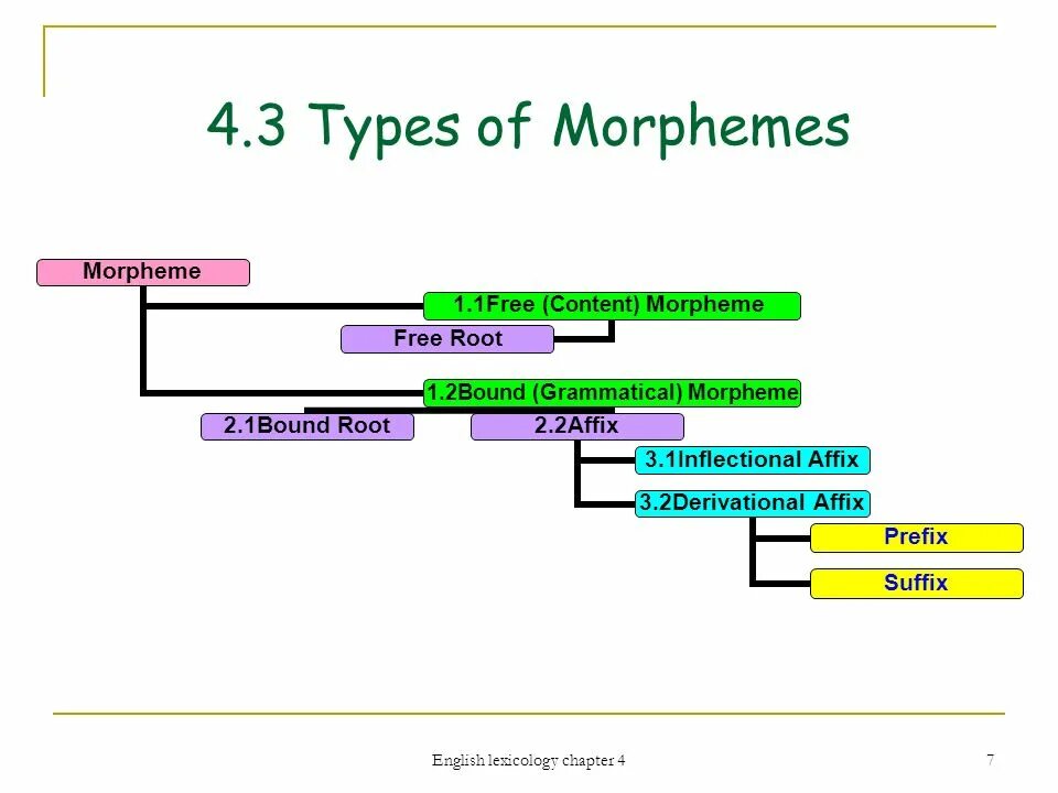 Different types of words. Types of morphemes. types of grammatical morphemes. different types of morphemes. morpheme types of morphemes.