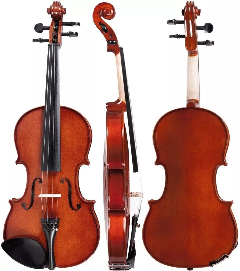 Купить скрипки 2. Струнные инструменты. Струнно-смычковые музыкальные инструменты. Строение скрипки. Скрипка 1/4.