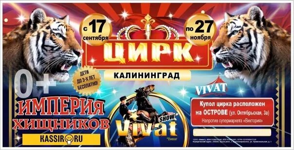 Цирк томск 2023. Цирк империя хищников vivat. сыктывкар цирк vivat империя хищников.
