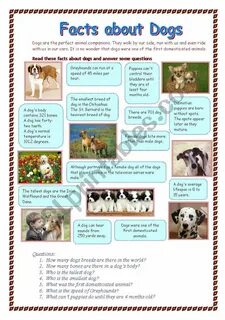 Текст dogs английский