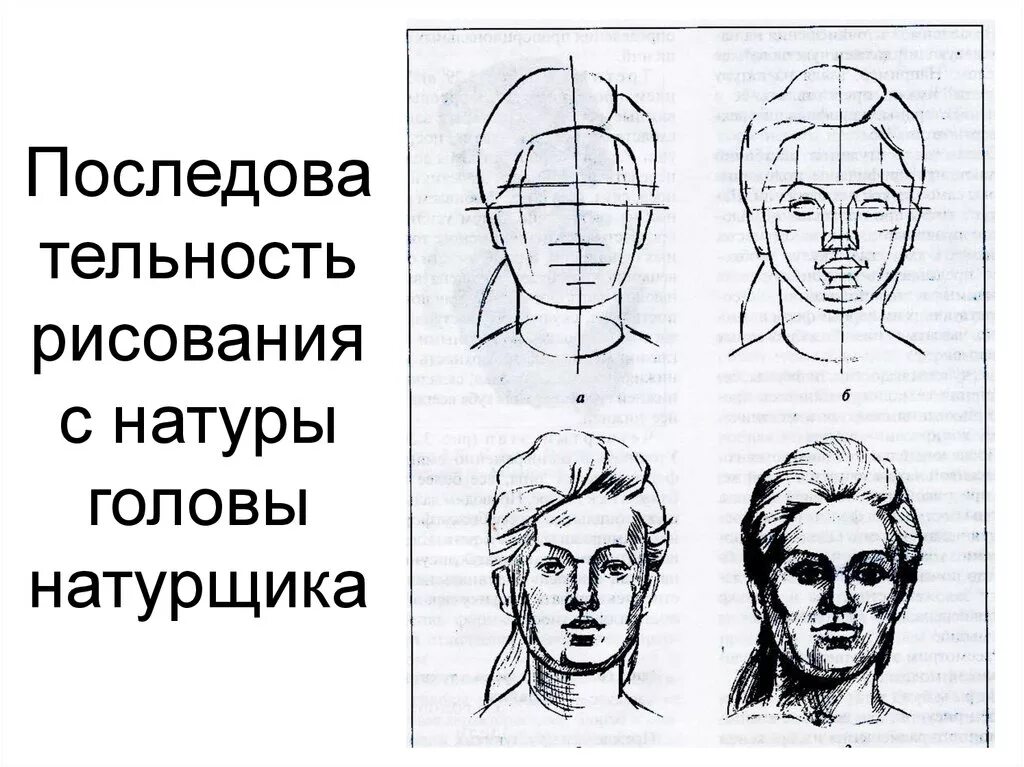 Стадии рисунка. Головы по очередности рисунок. Последовательность рисунка головы питерской Академии.