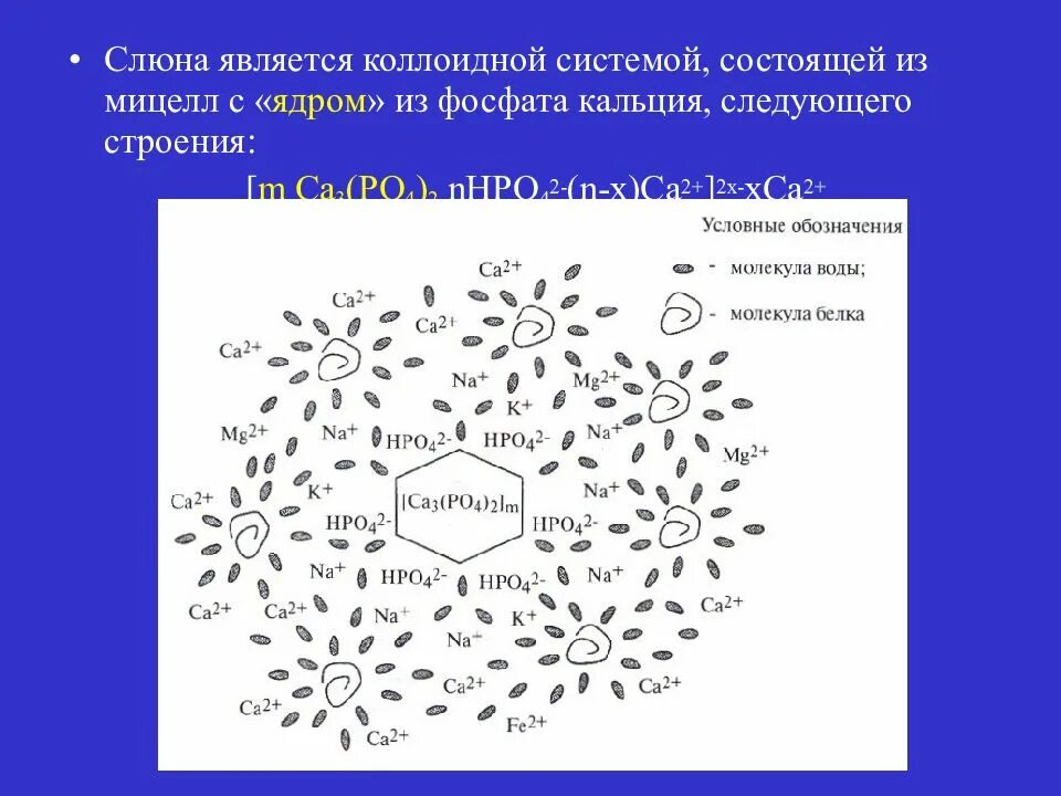 Минеральная слюна. Строение мицеллы слюны биохимия. Структура мицеллы слюны. Строение мицеллы фосфата кальция. Мицеллы фосфата кальция в слюне.