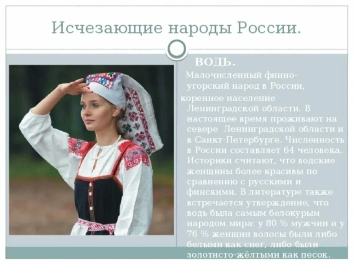 Исчезающие народы России водь. Водь народ. Ижорцы народ России. Традиции народов Ленинградской области.