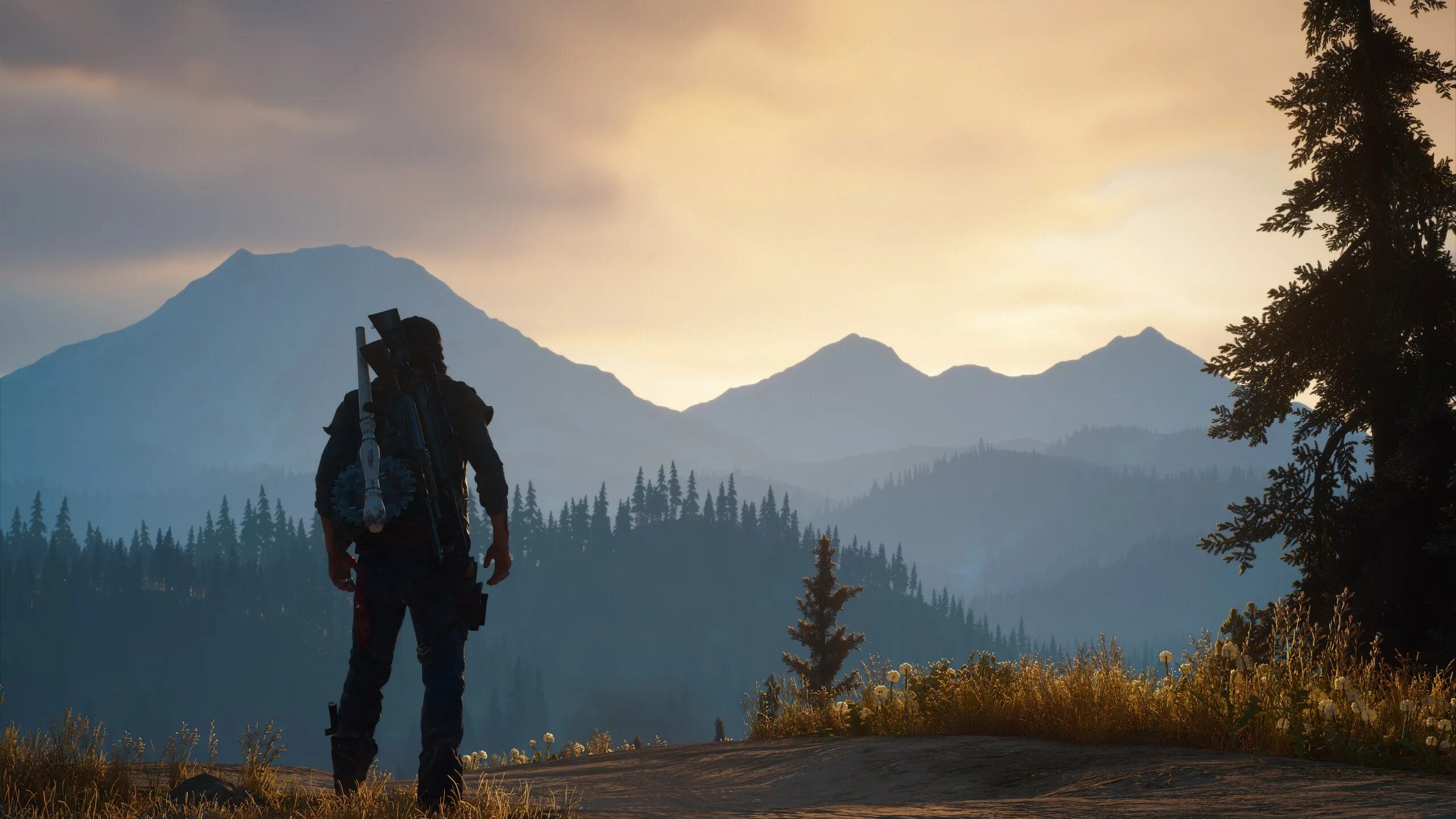 Days are done. Days gone. days gone на рабочий стол. days gone пейзажи. days gone арты.