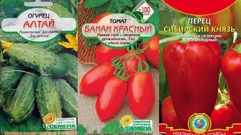 Семена сибири интернет