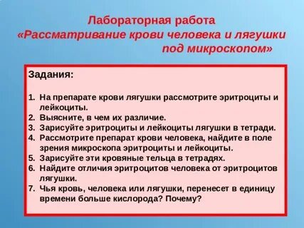 Подобных действий