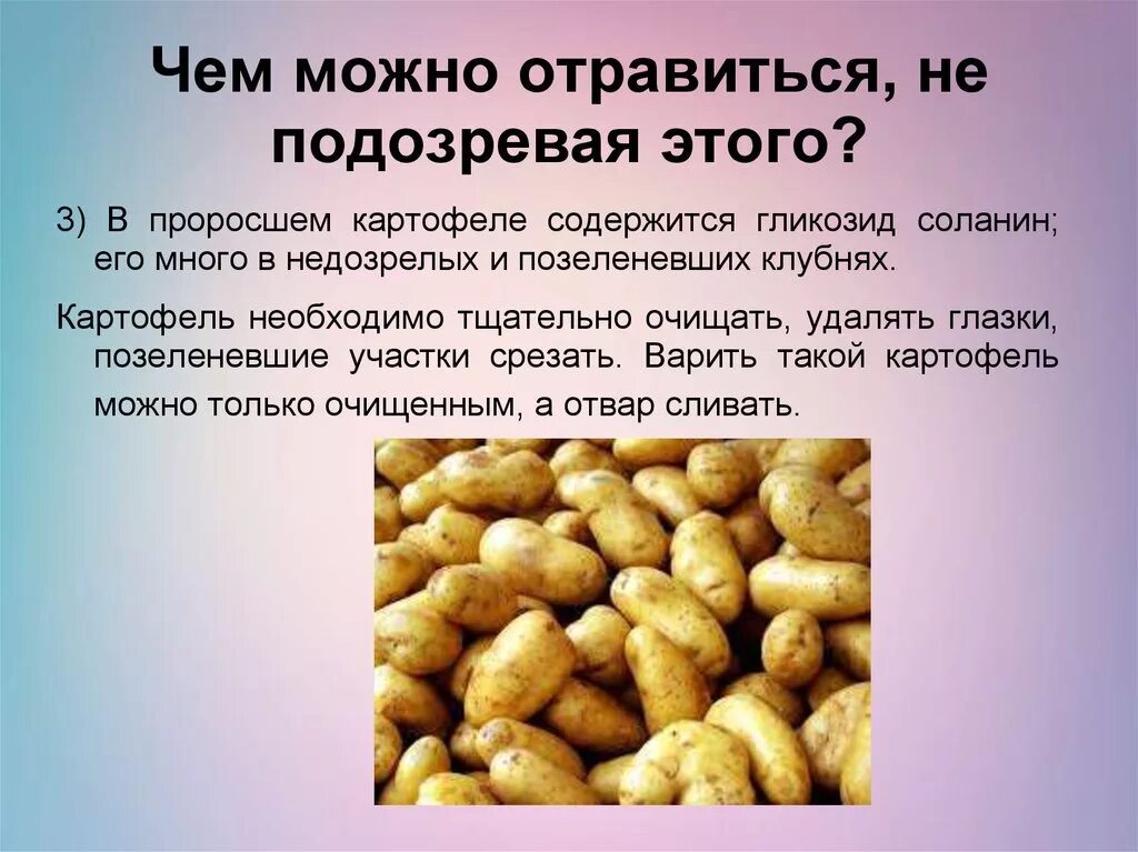 Почему картошке можно. Чем можно от травиться. Чем можно быстро отравиться. В проросшем картофеле содержится. Чем можно легко отравиться.