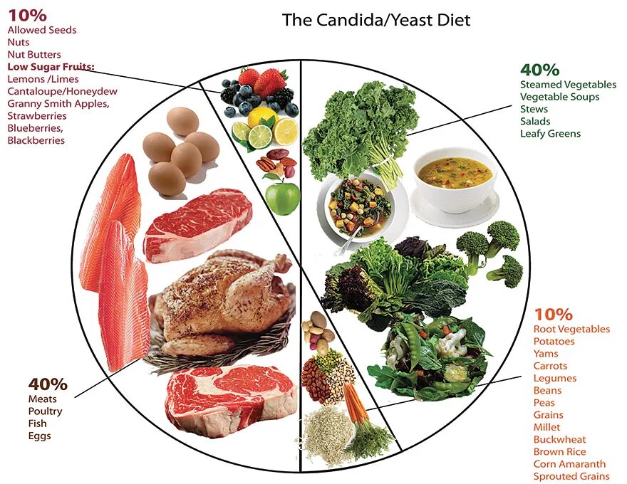 Кандида продукты питания. Протокол питания при кандидозе. Продукты питания при кандидозе. Питание при Candida.