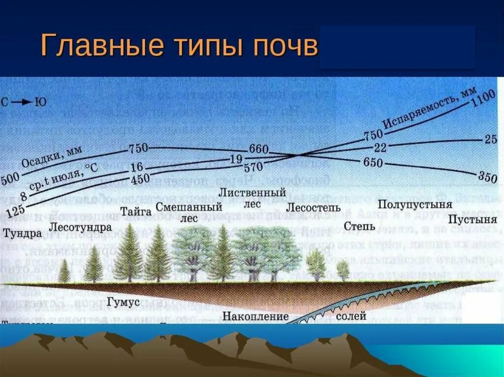 Взаимосвязь почв растительности и климата. Типы почв с климатом и растительностью. Взаимосвязь типов почв и растительности. Взаимосвязь типов почв. Почва 6 класс география презентация полярная звезда