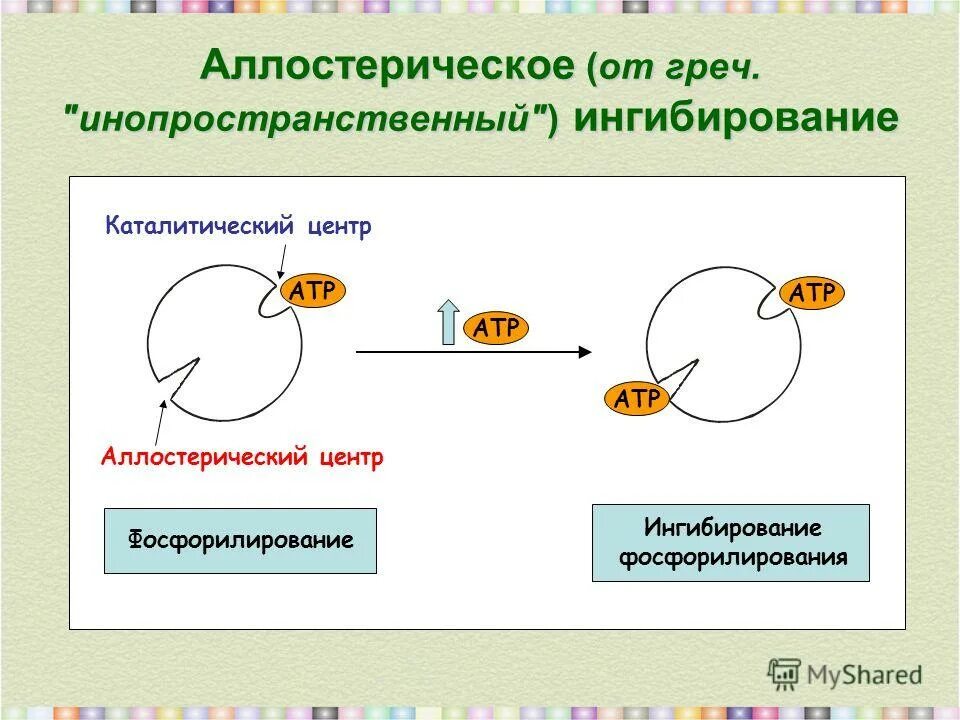 Аллостерический активатор