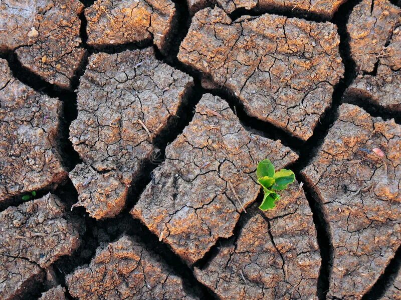 Зеленые трещины. Drought Management methods illustration.