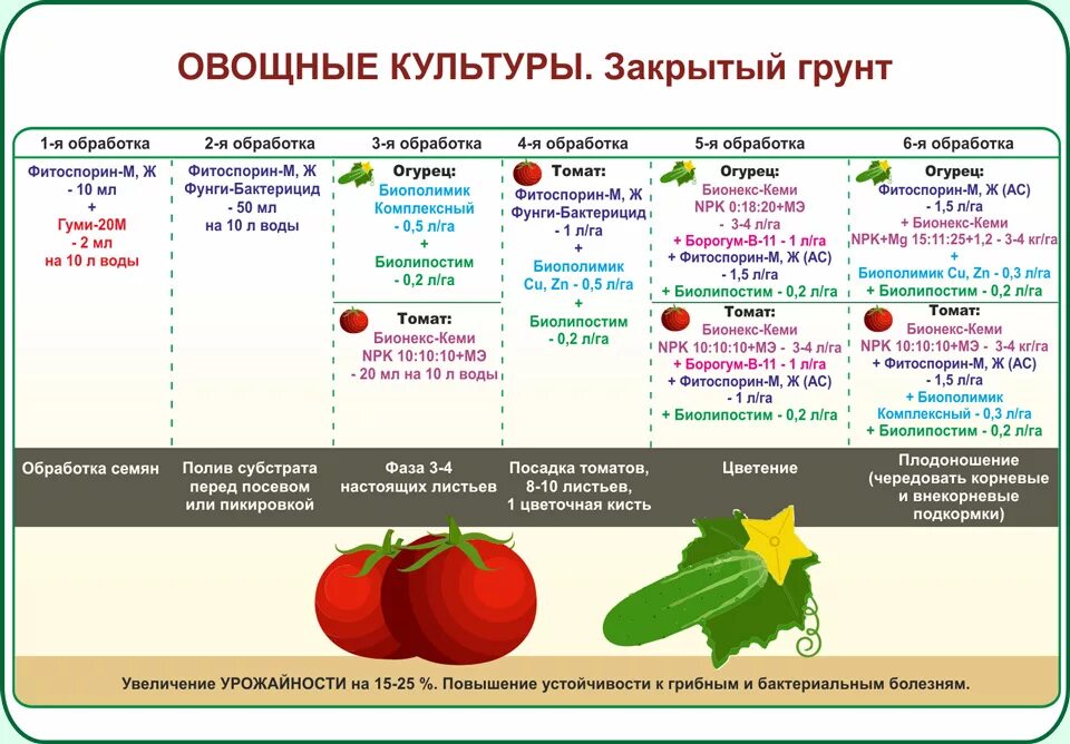 Схема подкормки томатов