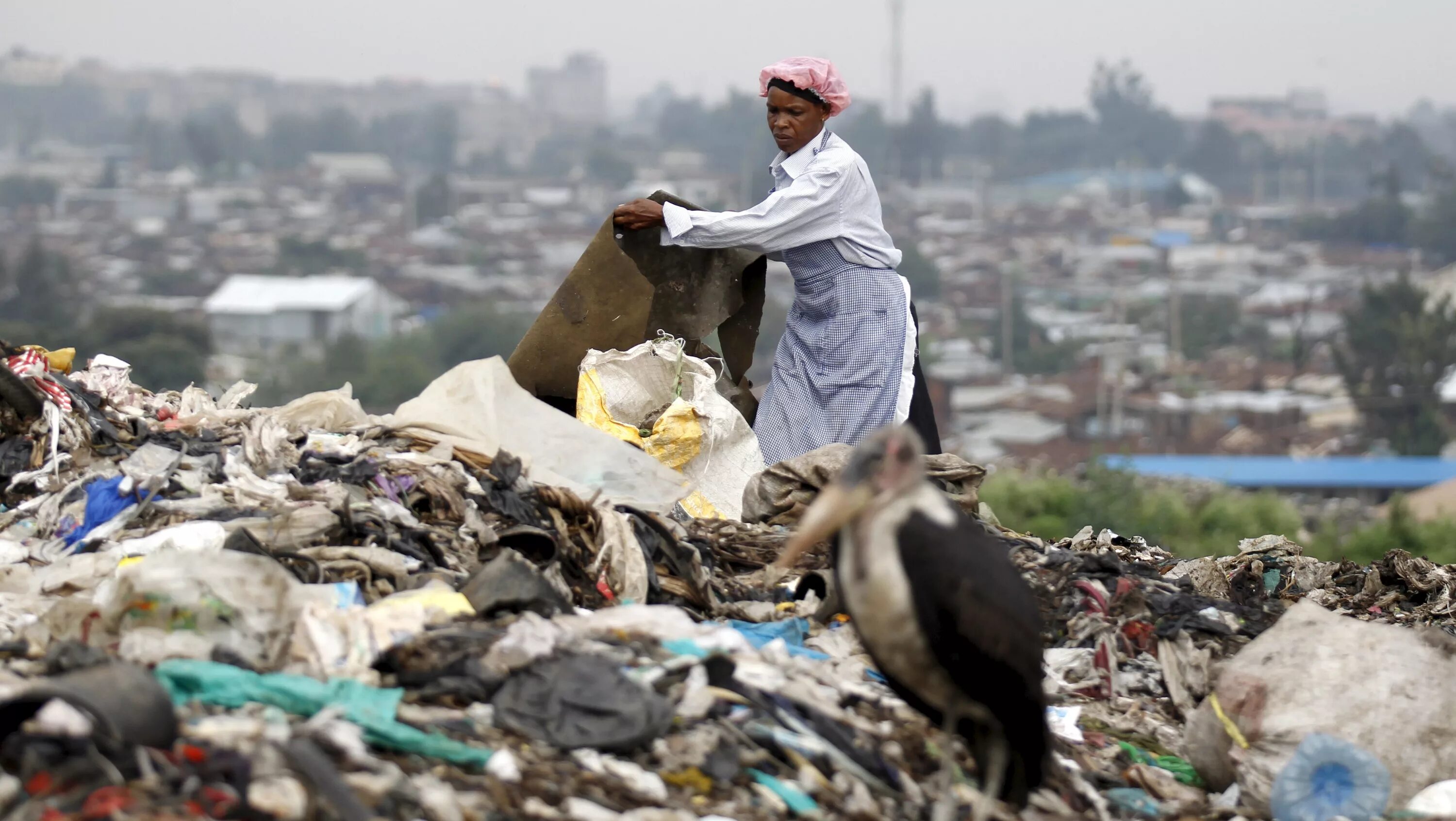 Rains waste. Waste Disposal problems. Waste Management. Able waste Management.