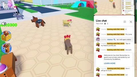 Pet story