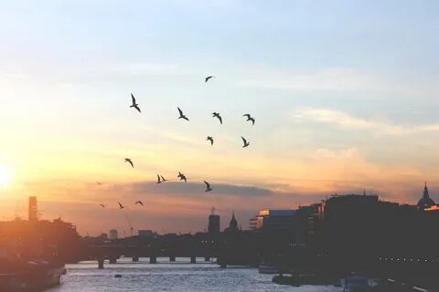Город летел