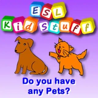 Do you like pets
