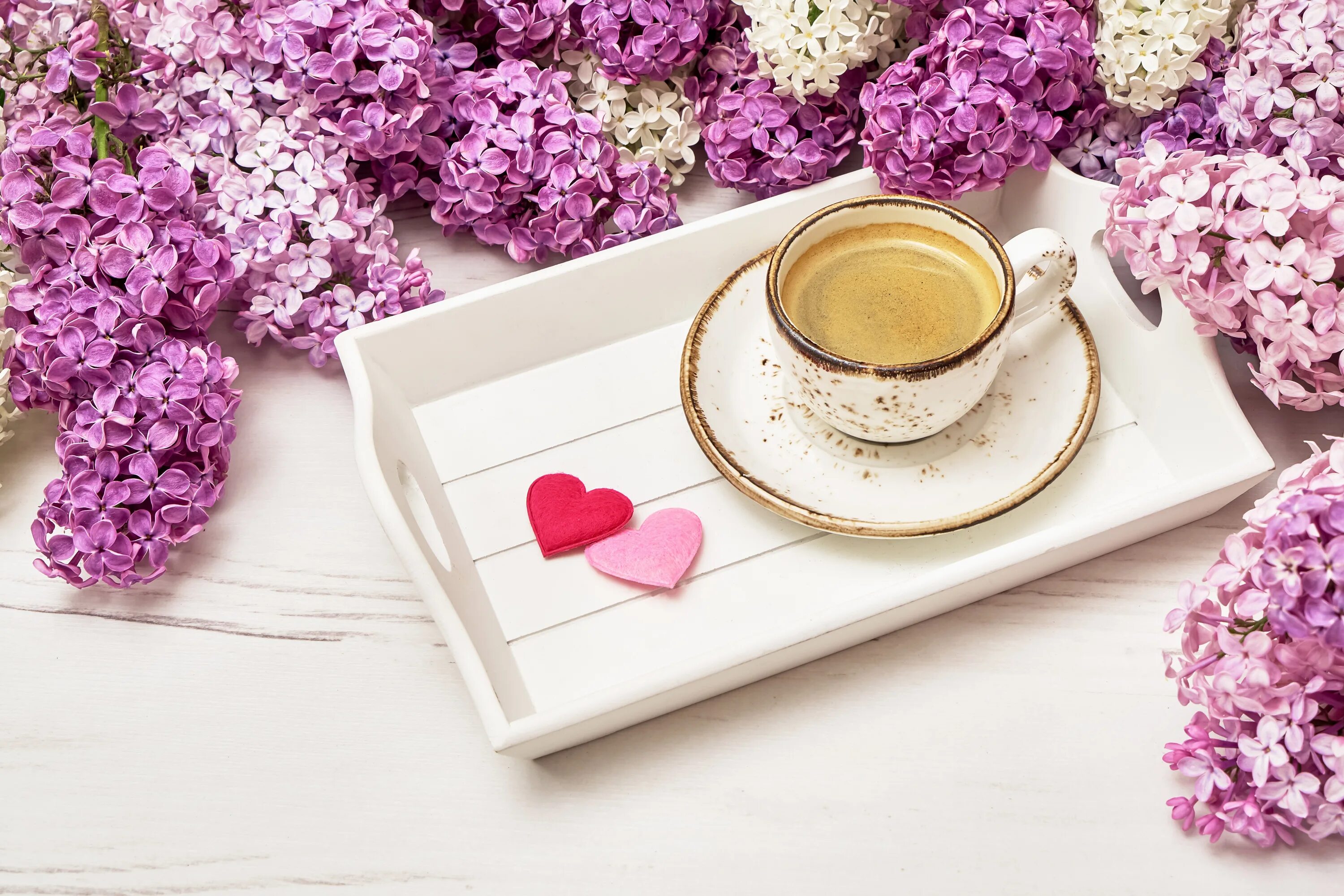 Кофе и цветы. Утро кофе цветы. Кофе с цветами. Чашка кофе и цветы. Доброе утро стильные наикрасивейшие открытки