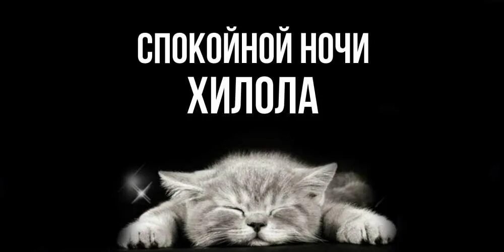 Доброй ночи котик. Открытки до завтра прикольные. Открытка спокойной ночи сыну. Открытки спокойной ночи прикольные. Я ушла спокойной ночи.