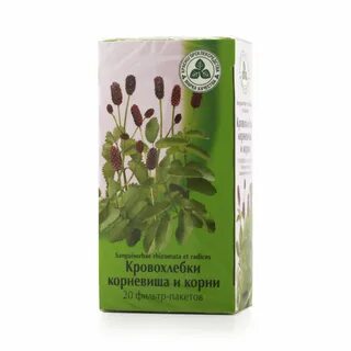 Корневища кровохлебки
