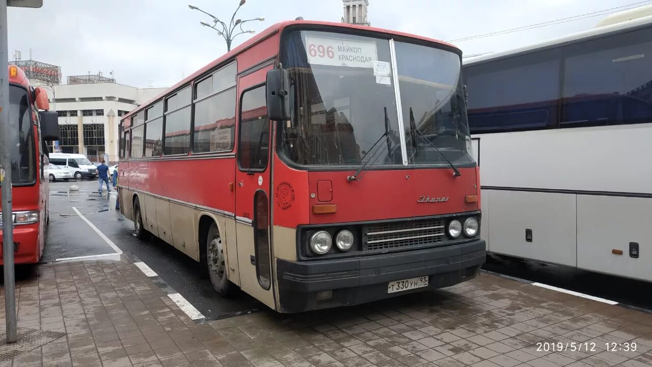 Автобусы краснодар майкоп сегодня. Икарус-250, 92. Икарус 250.95. Икарус 250.12. Икарус 250 на автовокзале.