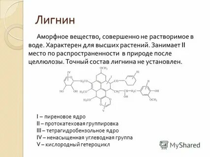 Лигнин в какой ткани