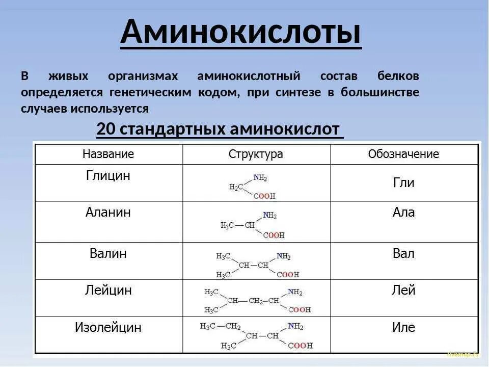 Сколько группа содержит. 20 Основных Альфа аминокислот. Аминокислоты входящие в состав белков формулы. Таблица основных аминокислот. Важнейшие природные аминокислоты.