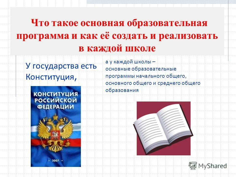 Программная конституция. Программная конституция