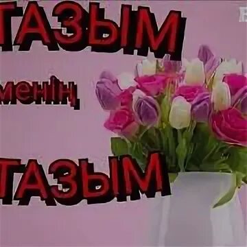Ұстазым өлең