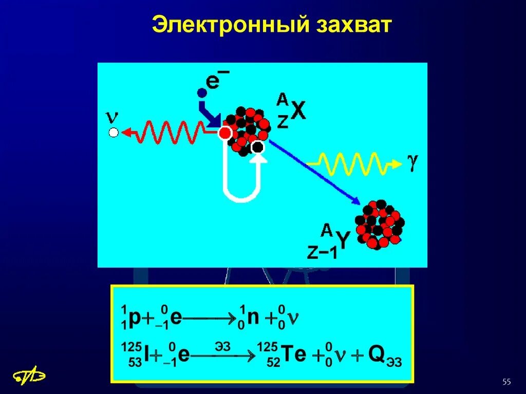 Электронный бета распад ядра. Ядерная реакция захвата ядром электрона. E захват бета распад. Электронный захват. К захват уравнение.