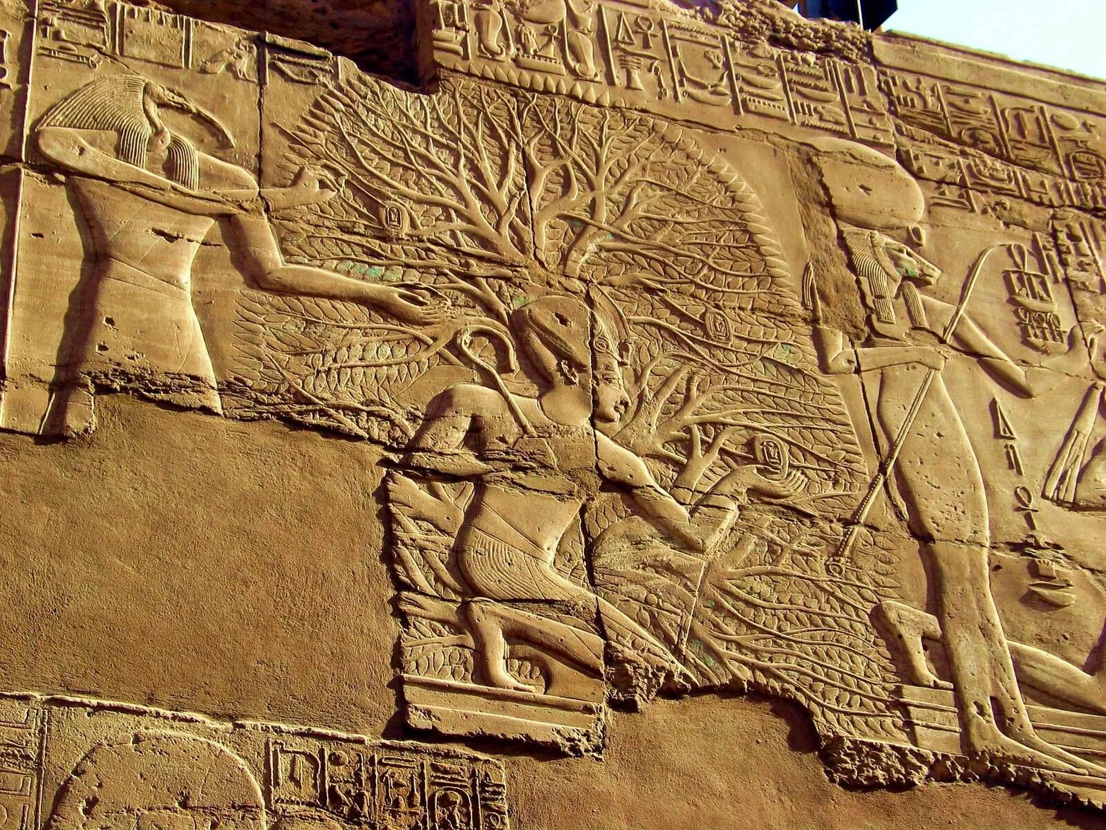 Древность по другому. Сикамора Хатхор древний Египет. Древо жизни в древнем Египте. Шумеро-аккадская культура. Египет и Месопотамия.
