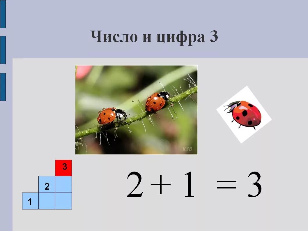 Презентация числа 1 2 3. Число и цифра 3 презентация. цифры и числа. число и цифра разница. отличие цифры от числа.