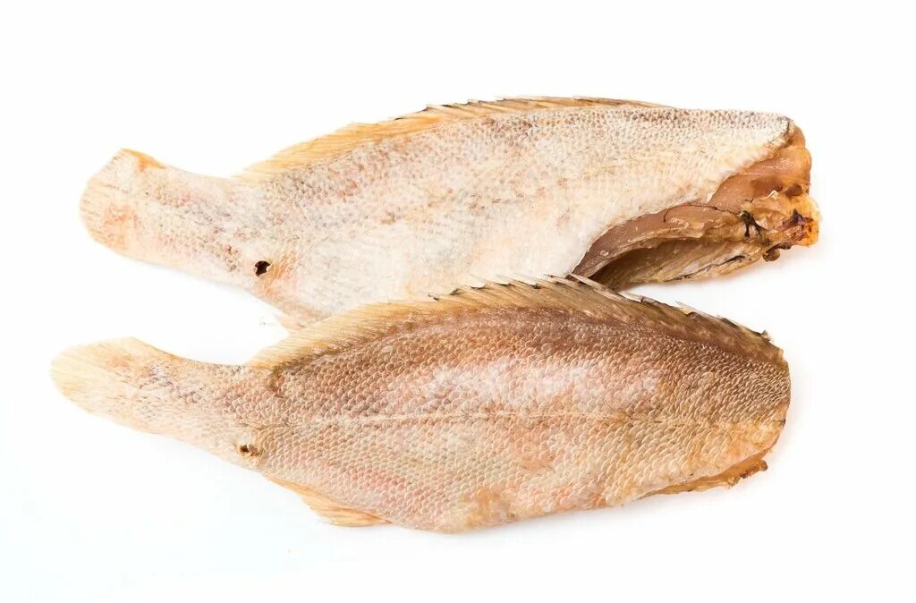 окунь морской вяленый. окунь вяленый потрошеный. окунь морской вяленый. красный окунь холодного копчения. морской окунь вяленый фото.