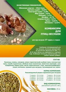 Комбикорм несушка как давать