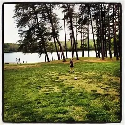 They run by the lake