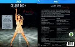 The party has arrived. Селин Дион Нью дей. Celine Dion a New Day. Celine Dion - a New Day Live in las Vegas. A New Day has come Селин Дион.