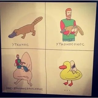 На нем но сам