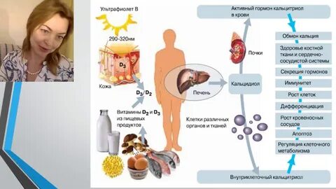 Гормон кожи