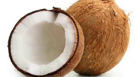 Coconut xii