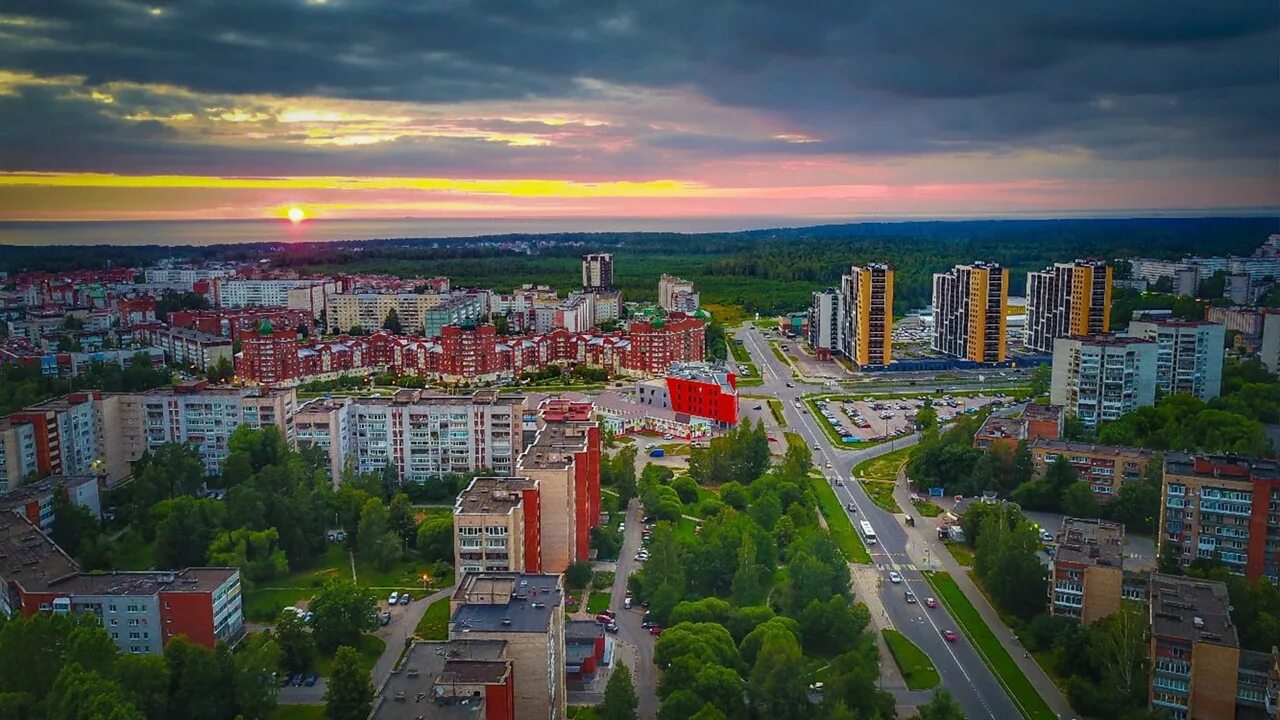 Цветы сосновый бор ленинградская. Город Сосновый Бор Ленинградская область. Сосновый Бор Ленинградская область 2022. Сосновый Бор Ленинградская область ЛАЭС. Сосновый Бор Ленинградская область фото города.