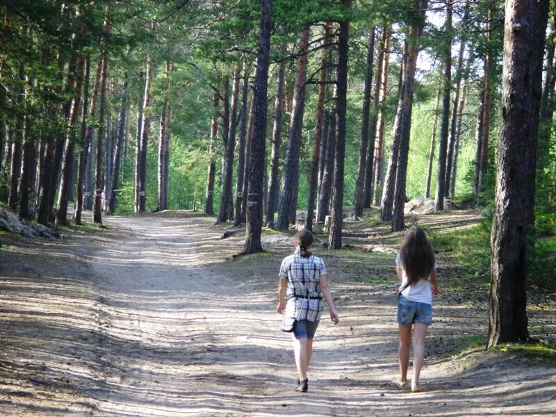 сосновый бор ленинградская область зима. сосновый бор ленинградская область. город сосновый бор ленинградская область. лена сосновый бор. городок сосновый бор ленинградская область.