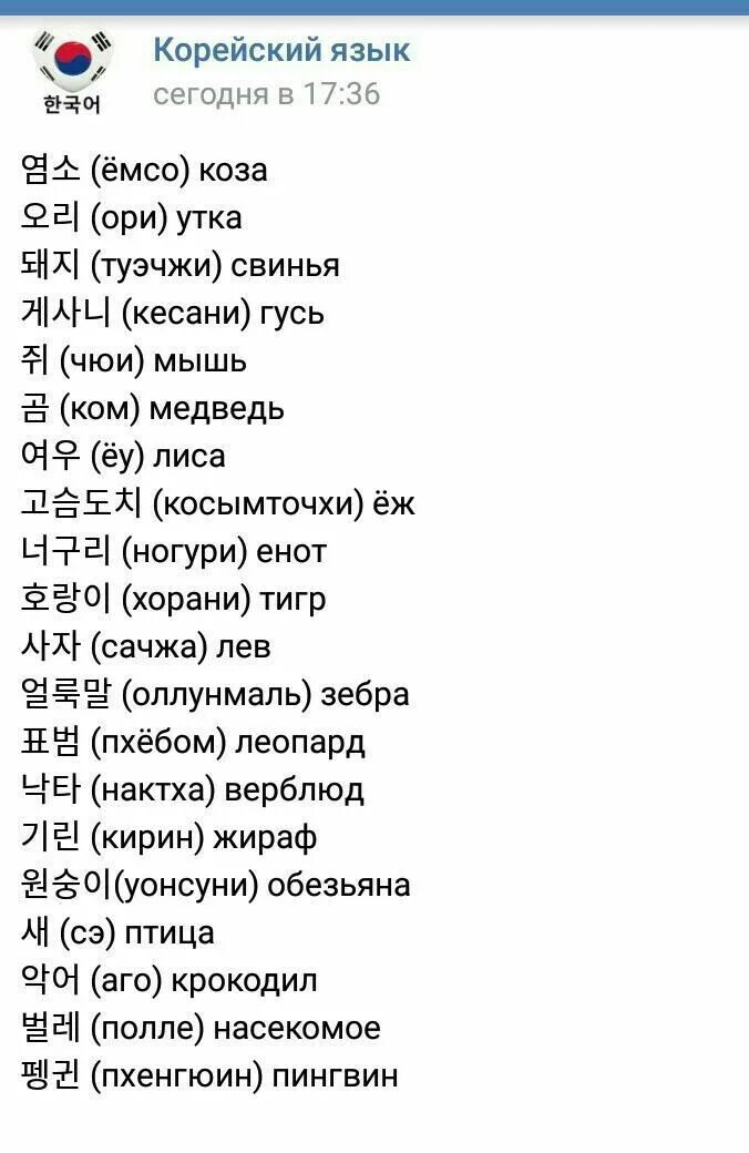 Корейский язык слова с переводом для начинающих. Сленг на корейском языке. Маты на карейском м языке. Дура на корейском. Корейский язык для начинающих слова с произношением на русском языке.
