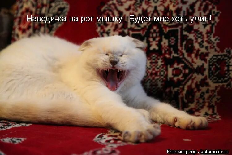 Сейчас скажу что это такое