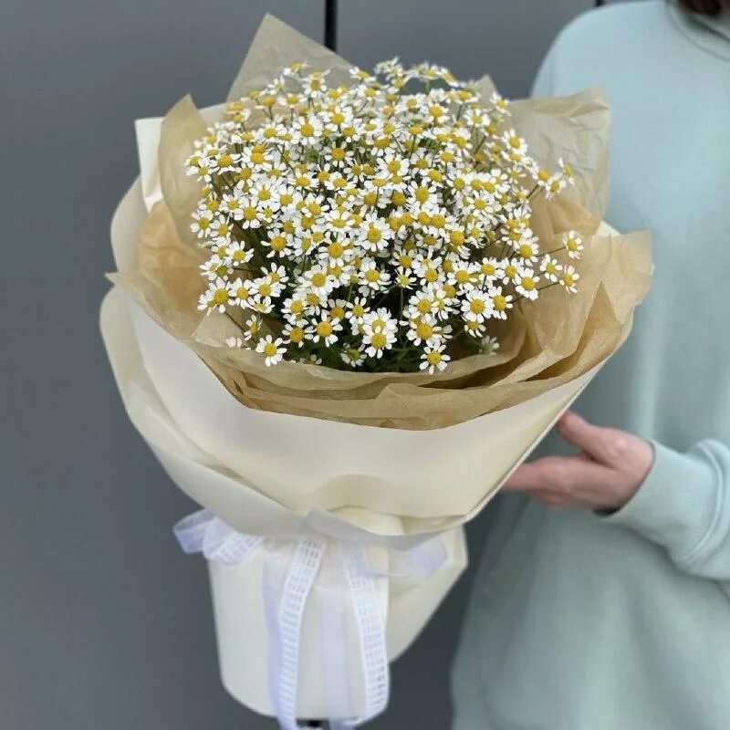 Мелкая ромашка танацетум. Мини букет из ромашек. Мелкая ромашка кустовая матрикария. Букет ромашек танацетум. Букет из маленьких ромашек.