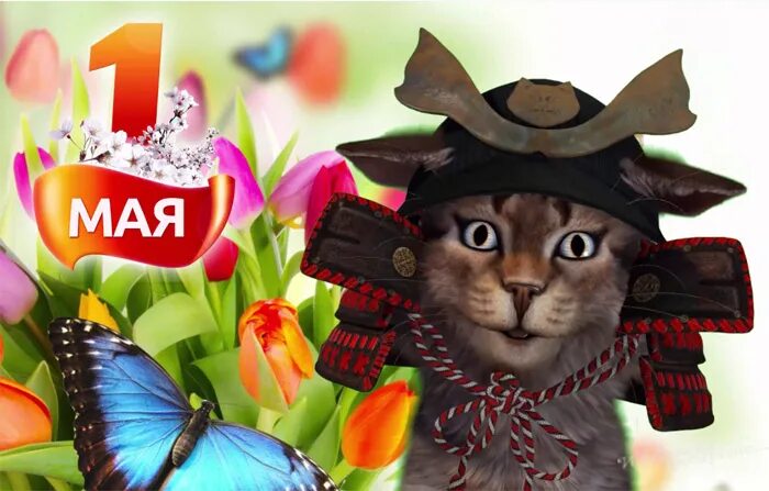 Видео поздравление с первым. 1 Мая коты. 1 Мая открытки с животными. 1 Мая праздник. 1 Мая праздник прикольные.